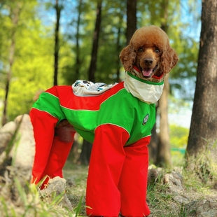 顾皮皮巨贵雪地服功能型防风保暖防脏四脚衣原创显眼包设计