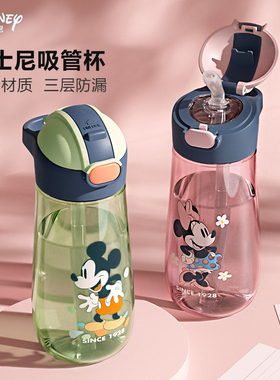 迪士尼儿童吸管tritan一年级上学专用水杯夏季男女小学生塑料便捷