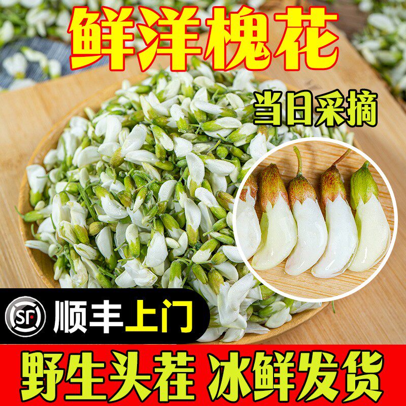 【顺丰】槐花2026新鲜洋槐花儿应季时令蔬菜当季野生洋槐树花骨朵