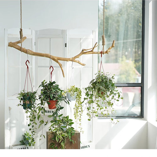 干树枝吊架挂衣架展示吊顶悬挂架