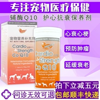 Angel Coenzyme Q10 Pet Đại lý chăm sóc tim chó, chó, chó, suy tim, nhịp tim bất thường nhồi máu cơ tim - Cat / Dog Health bổ sung Bột kích sữa cho chó mẹ