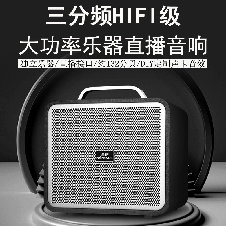 金正F25户外广场舞音响 露营聚会便携式K歌直播音响 乐器弹唱音响