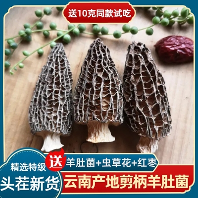 羊肚菌干货野生500g特级头茬精选剪柄袋装无硫云南特产煲汤菌菇