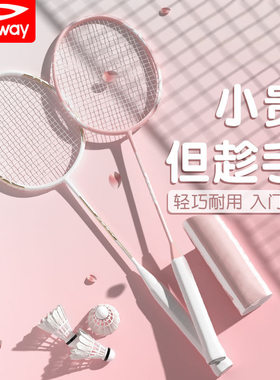 德尔惠正品羽毛球拍超轻耐打成人套装比赛训练带球双拍工厂直销