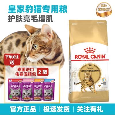 豹猫专用呵护被毛提升肌肉力量