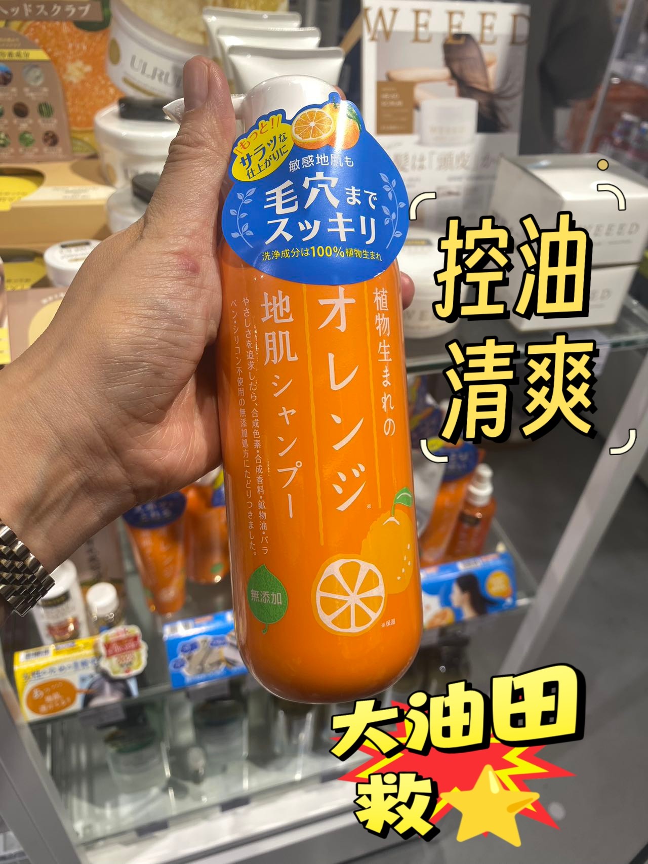 油塌头控油清爽篷松现货日本石泽洗发水弱酸香橙柑橘子无硅油清洁