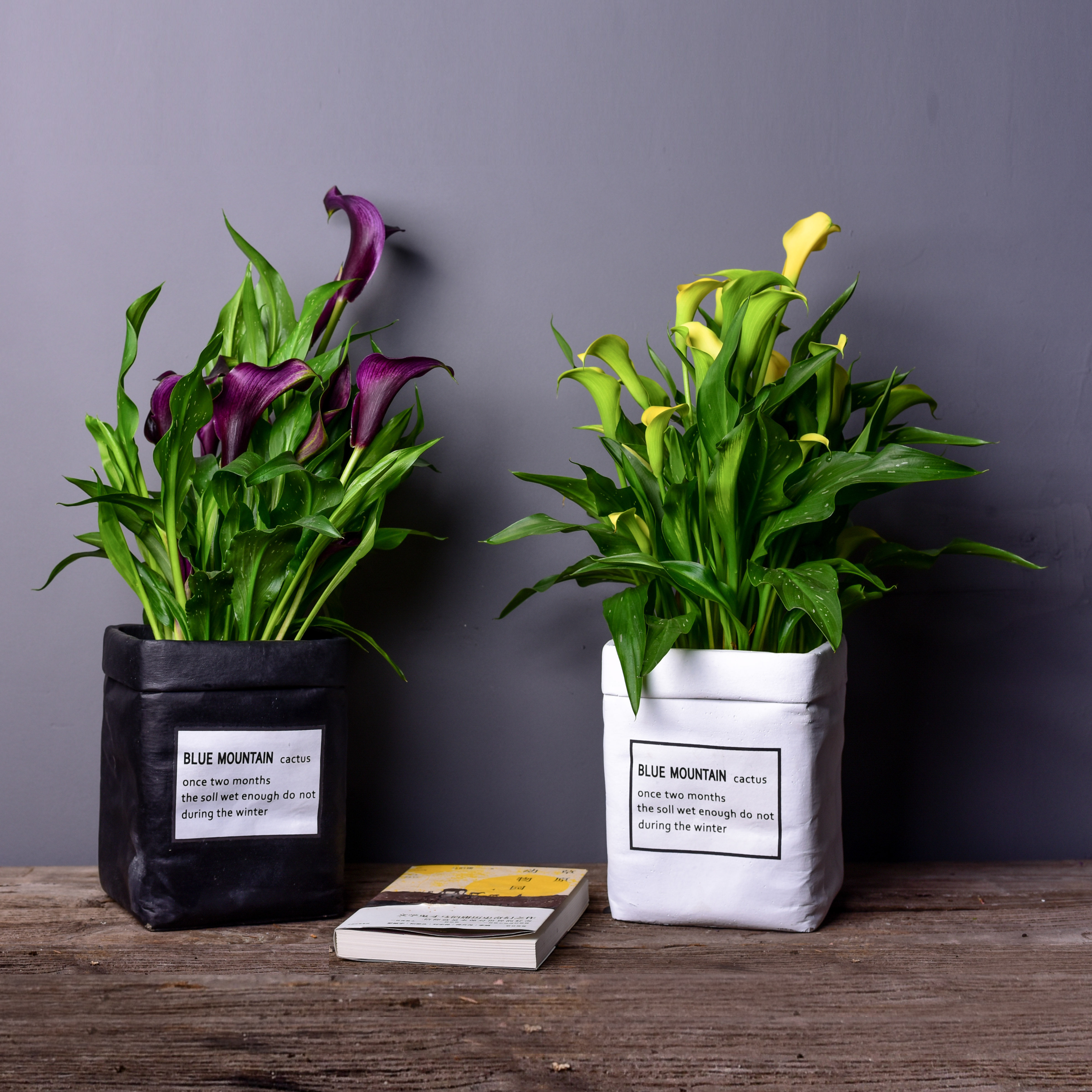 水泥布袋方形花盆北欧式创意家居摆件精致布袋形植物花器花插