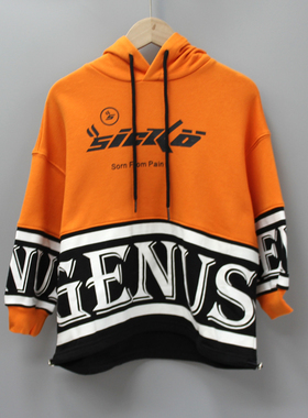 G-JE家110-165春秋 品牌童装折扣/儿童休闲长袖上衣卫衣15590桔