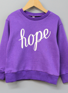 安系列120-150春秋 童装品牌折扣/儿童休闲套头卫衣外套18809紫