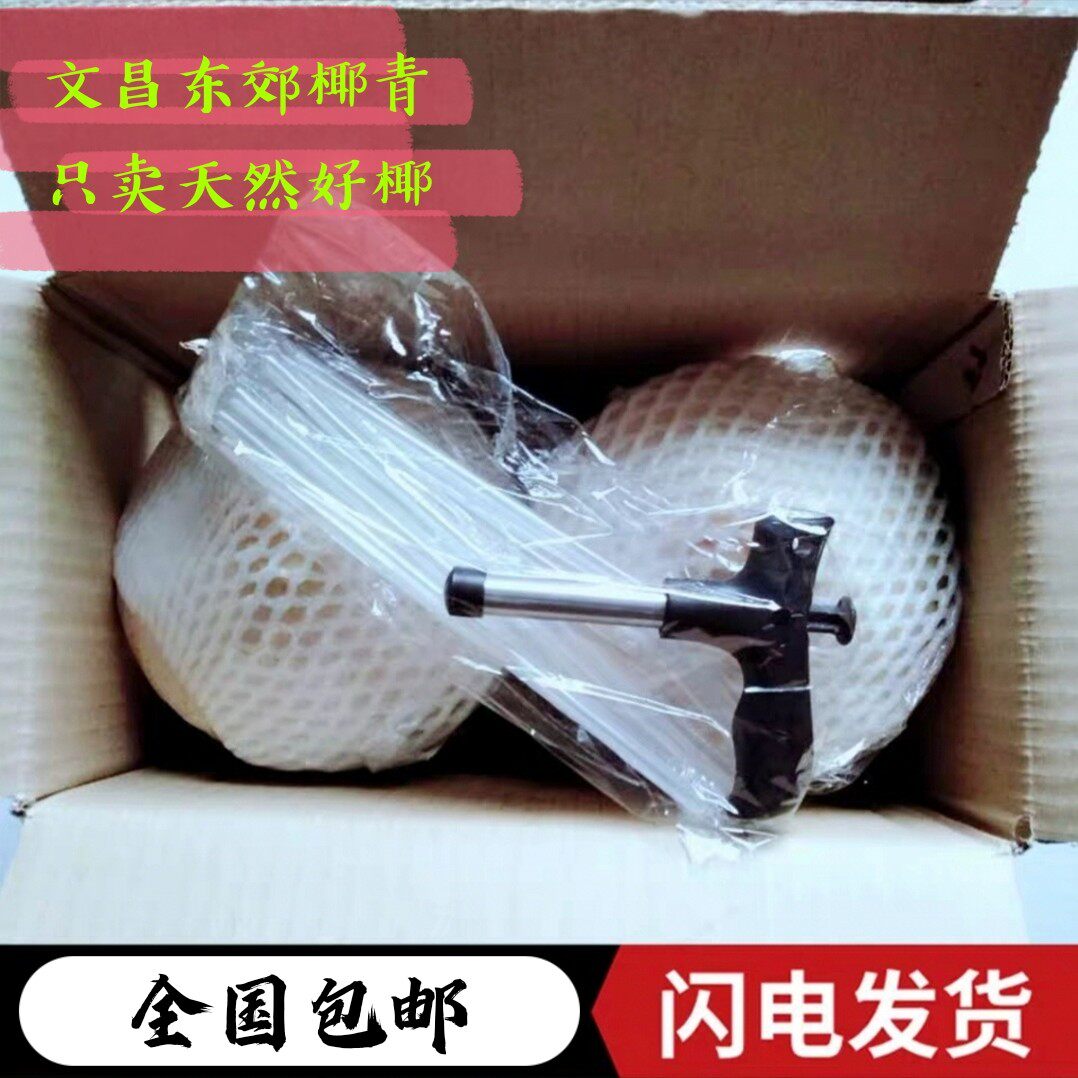 2个装海南特产椰青椰子新鲜水果椰皇毛椰榨椰汁椰肉煲汤全国包邮
