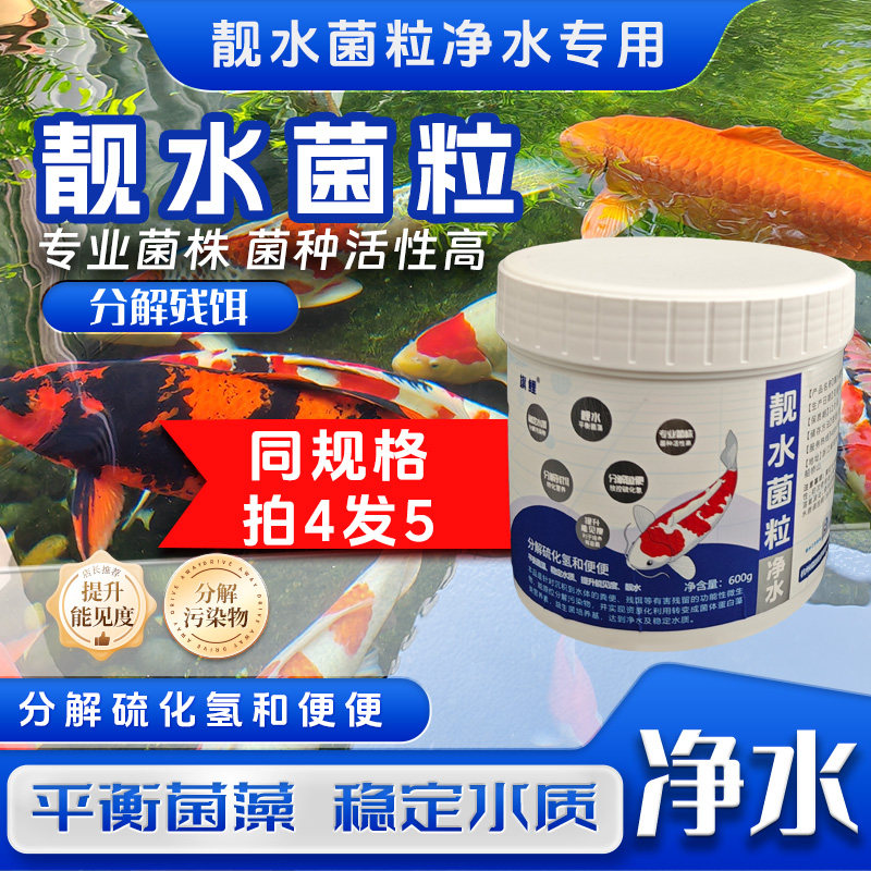 旗鲤靓水菌粒鱼池专用净水改底除臭分解鱼便降底温稳定水质有益菌