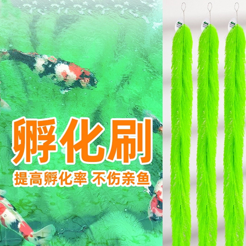 山树孵化毛刷锦鲤产卵鱼卵孵化刷金鱼繁殖水产养殖孵化草鱼巢