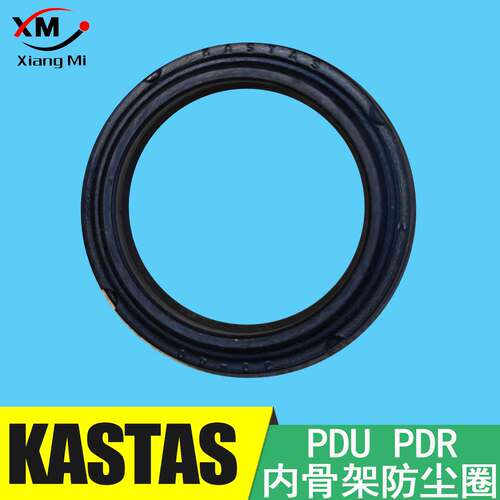 进口KASTAS气缸骨架防尘圈K30PDU/PDR 20*30 30*40 25*35 22*32