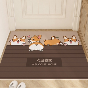 入户门地垫pvc进门门口玄关可擦免洗脚垫家用耐脏防滑可剪裁垫子