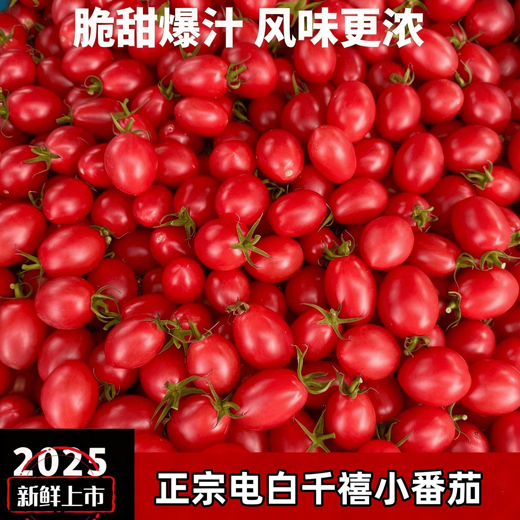【顺丰包邮】正宗电白千禧小番茄新鲜水果圣女果当季现摘小柿子千,水产肉类/新鲜蔬果/熟食,番茄,淘宝优惠券,粉丝福利购,淘宝优惠卷