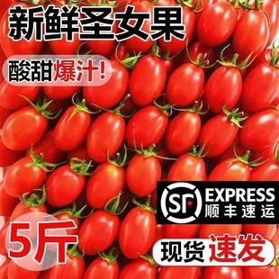 【顺丰包邮】正宗广东电白千禧冰糖心圣女果新鲜水果西红柿小番茄