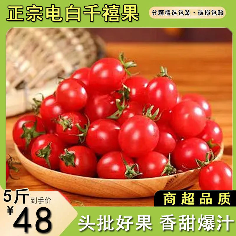 广东电白正宗冰糖千禧果当季樱桃小番茄圣女果新鲜,水产肉类/新鲜蔬果/熟食,番茄,淘宝优惠券,粉丝福利购,淘宝优惠卷