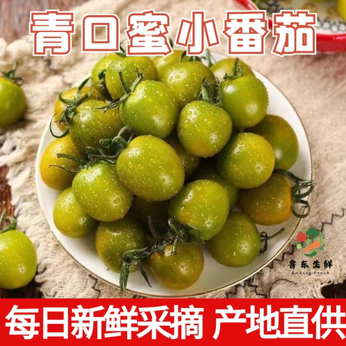 正宗广东青甜2号青口蜜小番茄新鲜水果青口蜜小番茄现摘现发