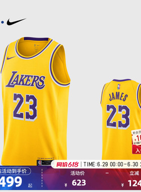 NBA官方NIKE耐克湖人队詹姆斯SW球迷版球衣专业训练背心篮球服男