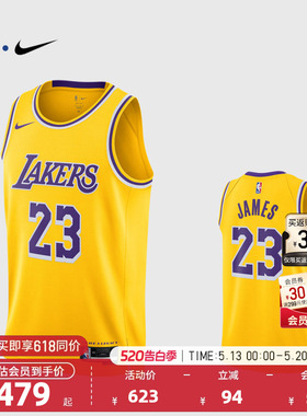 NBA官方NIKE耐克湖人队詹姆斯SW球迷版球衣专业训练背心篮球服男