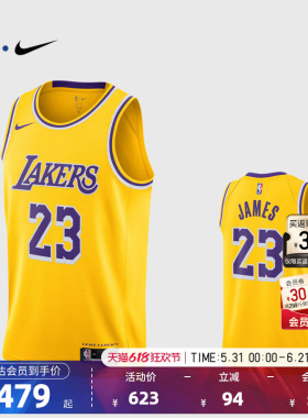 NBA官方NIKE耐克湖人队詹姆斯SW球迷版球衣专业训练背心篮球服男