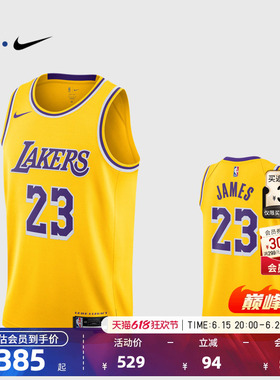 NBA官方NIKE耐克湖人队詹姆斯SW球迷版球衣专业训练背心篮球服男