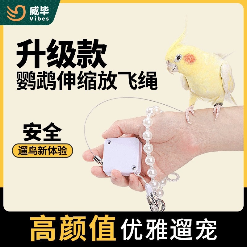 鹦鹉牵引绳自动伸缩脚环放飞绳外出飞行遛鸟不伤脚牡丹玄凤用
