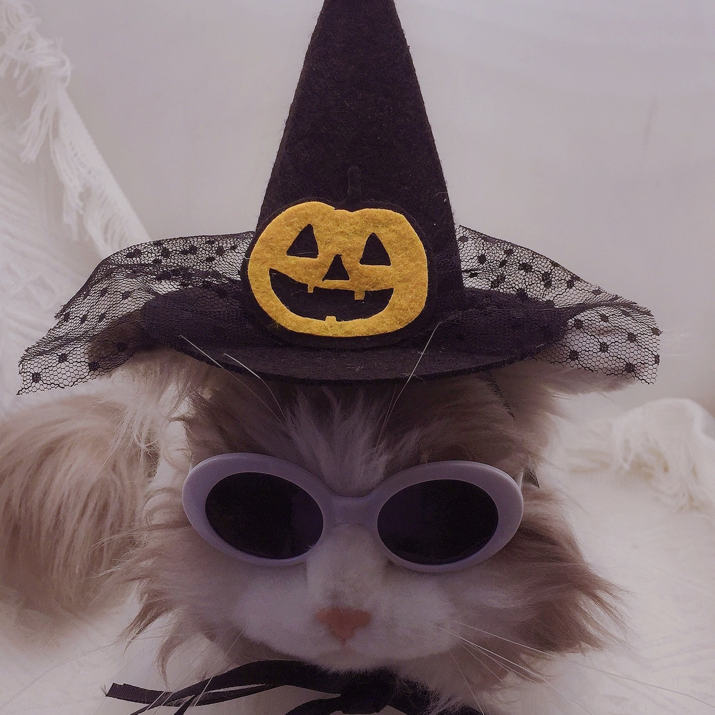 万圣节派对宠物帽子南瓜头饰 宠物发饰法师装扮帽子 节日礼物