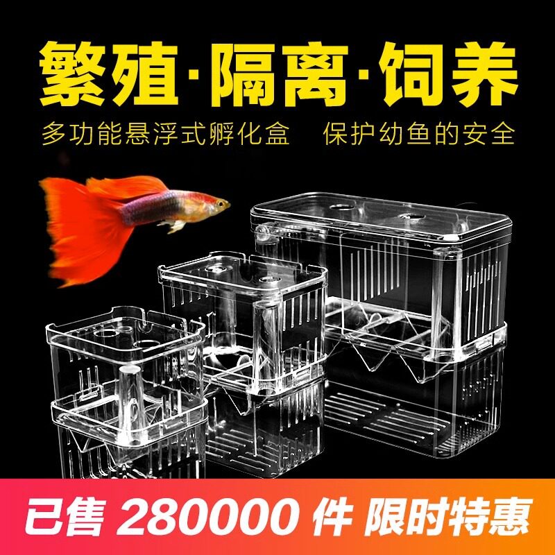 鱼缸隔离盒孔雀鱼热带鱼小鱼幼鱼孵化器鱼苗防逃逸高存活率孵化盒