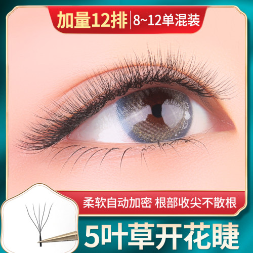 五叶草睫毛0.05YY一秒开花自嫁接睫毛自然三叶草假睫毛升级款 - 封面