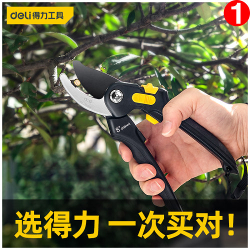 得力剪枝剪刀园林花艺修剪工具