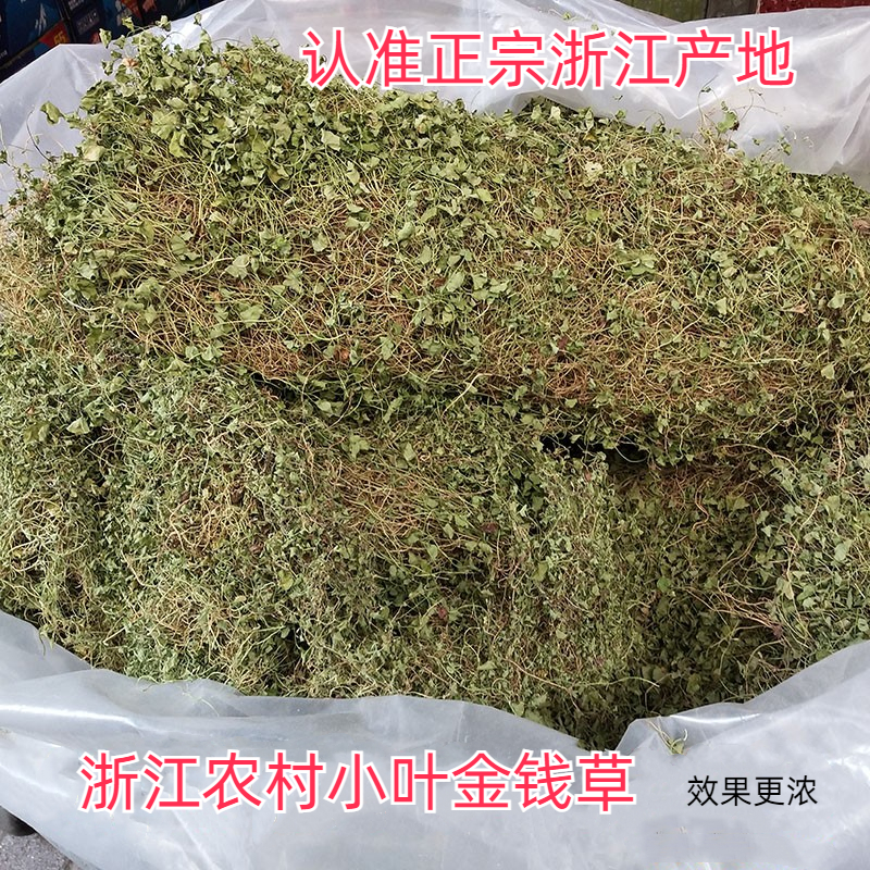 金钱草溶石草浙江农村干净新鲜小叶金...