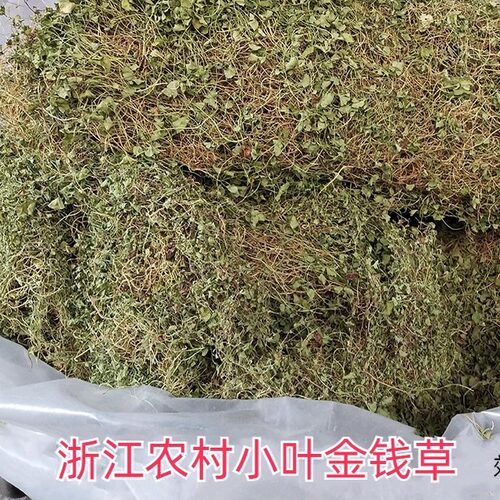 浙江农村干净新鲜小叶金钱草茶