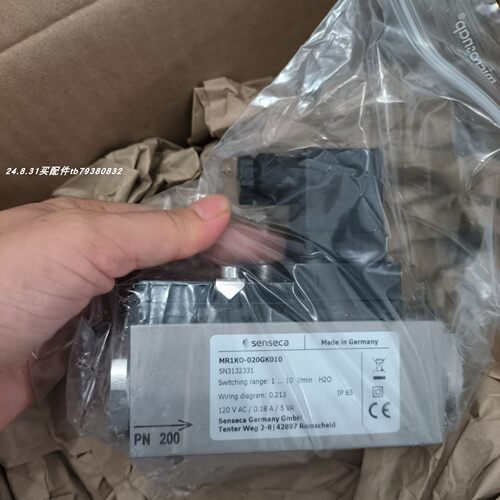 senseca流量开关UR3K-025GM150