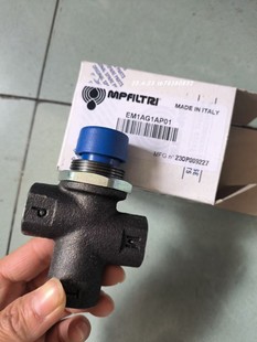 库存现货 EM1AG1AP01 MPFILTRI FMP9202BAG2P01