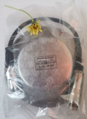 WERNE THIEL FS1-30-G80-X-K-I4/1探头