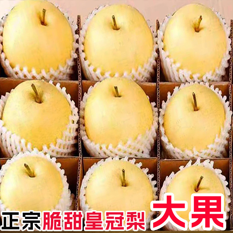 条山农场皇冠梨甘肃白银景泰县梨子脆甜多汁