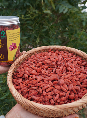 黄河石林红枸杞250g/罐红枸杞甘肃白银景泰绿色认证枸杞子