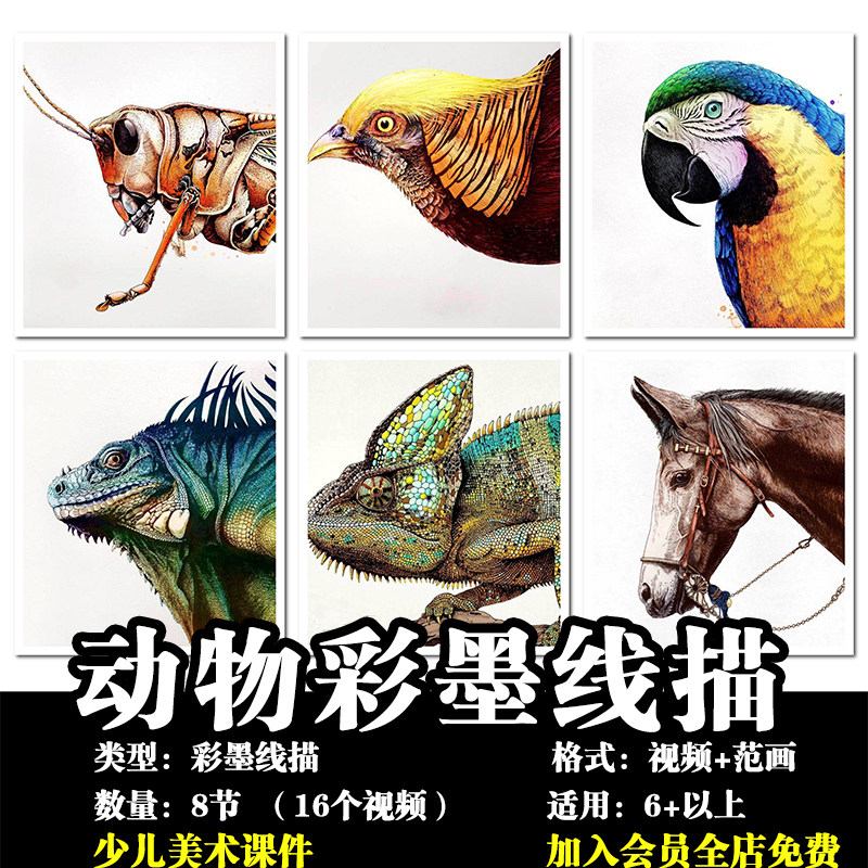少儿美术 动物彩墨线描(8节)视频美术课程儿童创意绘画美术课件