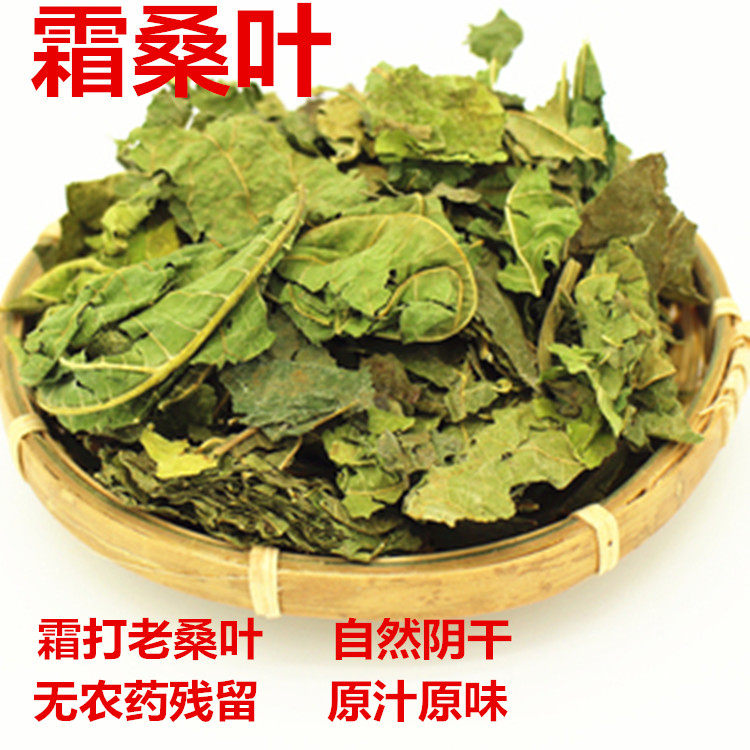 中药材干桑叶泡水喝桑树叶