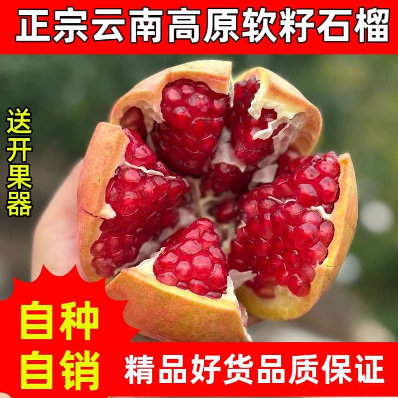 【彩箱】云南正宗新鲜突尼斯软籽石榴
