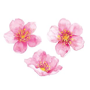 爱漏山寺桃花纹身贴粉色花朵花苞花瓣少女防水持久风复古国潮唯美