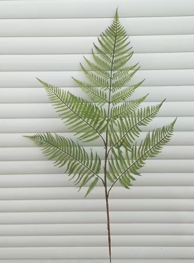 蕨类植物仿真盆栽假绿植蕨类造景组合景观蕨树蕨叶装饰塑料花大型