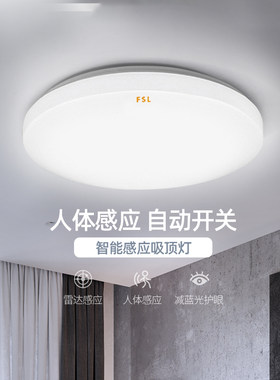 佛山led阳台吸顶灯FSL