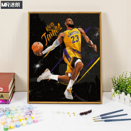 diy数字油画填充明星手绘油彩NBA勒布朗詹姆斯篮球填色手工画画图片