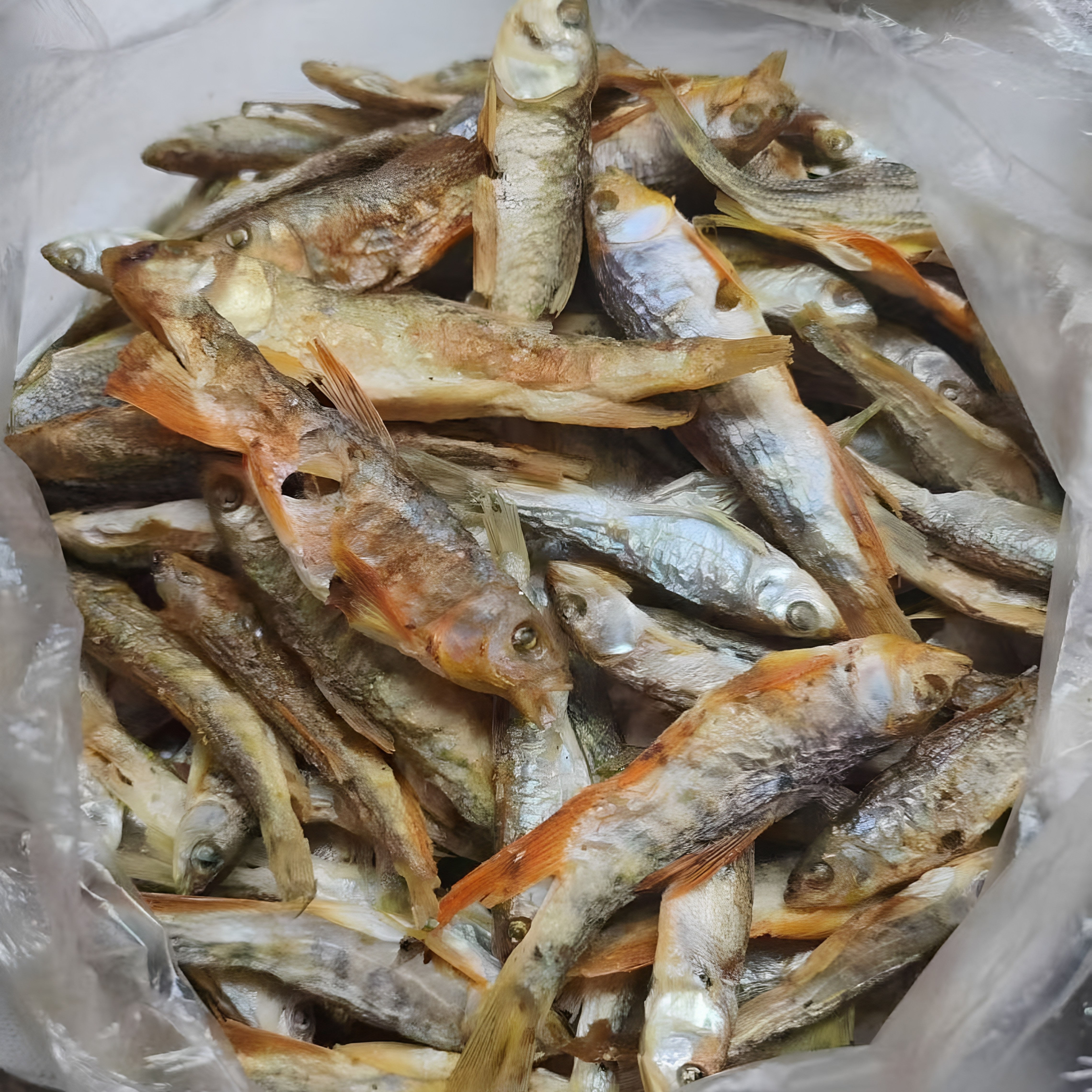 温州泰顺小溪坑沟锅焙炭烤野生马口鱼干500g