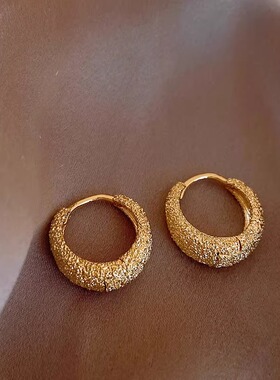 2025年春夏新款简约磨砂气质耳环女耳圈轻奢素圈通勤大气耳钉耳饰