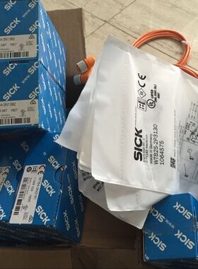 1058771DFS60A-BBAK12500西克代理