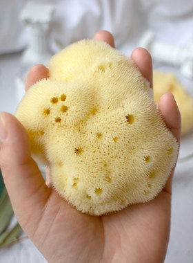 希腊天然丝绒海绵深层清洁毛孔洗泥面膜卸妆洁面扑儿童洗脸澡神器