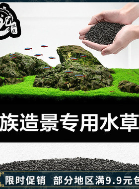 坤记水族 新一代国产ADA水草泥 底沙底砂基肥亚马逊泥 水草种子